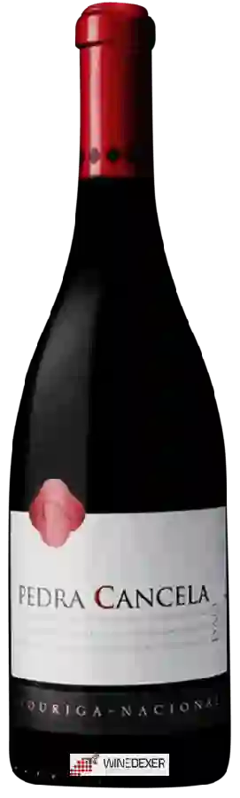 Winery Pedra Cancela - Touriga Nacional