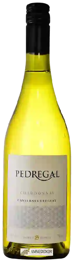 Winery Pedregal - Chardonnay Winery Pedregal - Chardonnay