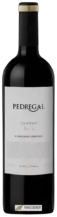 Winery Pedregal - Roble Tannat