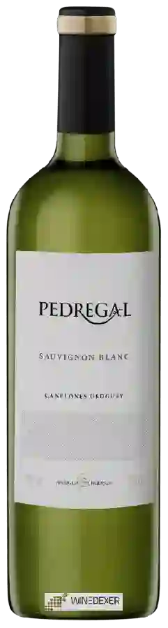 Winery Pedregal - Sauvignon Blanc Winery Pedregal - Sauvignon Blanc