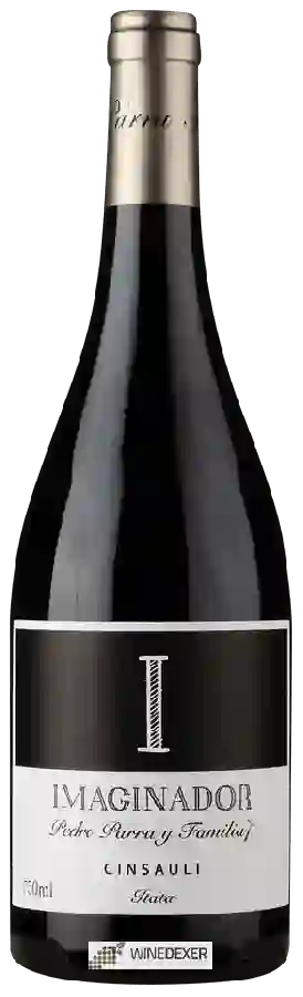 Winery Pedro Parra y Familia - I Imaginador Cinsault