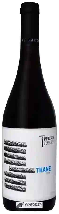 Winery Pedro Parra y Familia - Trane Cinsault Winery Pedro Parra y Familia - Trane Cinsault