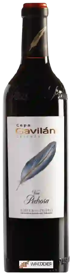 Winery Viña Pedrosa - Cepa Gavil&aacuten Crianza Ribera del Duero