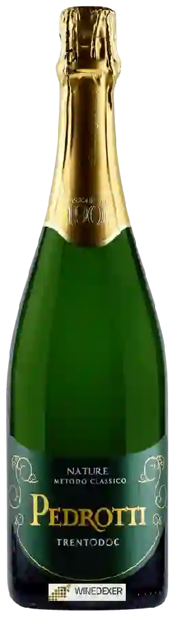 Winery Pedrotti - Nature Winery Pedrotti - Nature