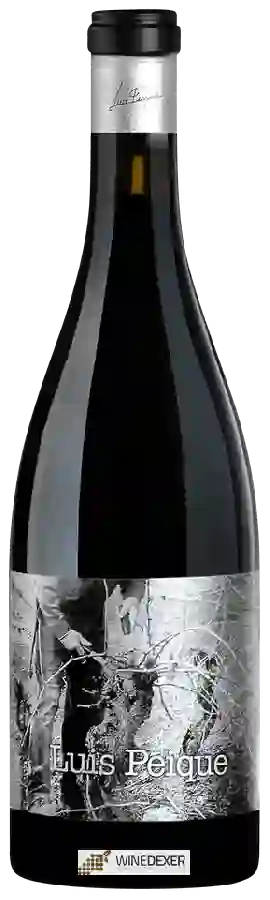 Winery Peique - Luis Red
