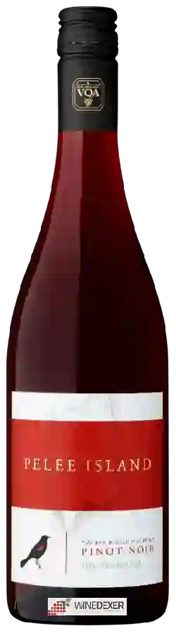 Pelee Island Winery - Pinot Noir