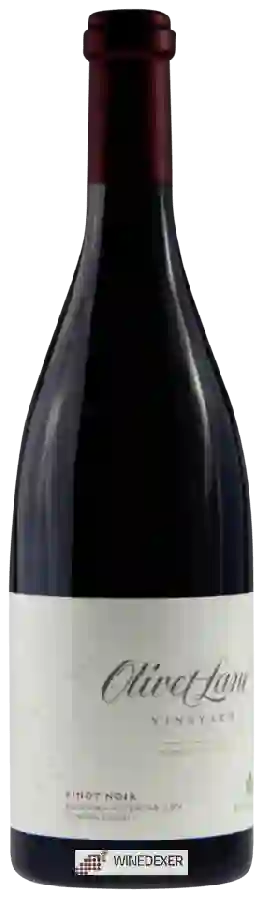 Winery Pellegrini - Olivet Lane Vineyard Pinot Noir