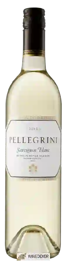 Winery Pellegrini - Sauvignon Blanc Winery Pellegrini - Sauvignon Blanc