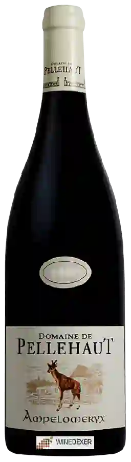 Domaine de Pellehaut - Ampelomeryx Rouge