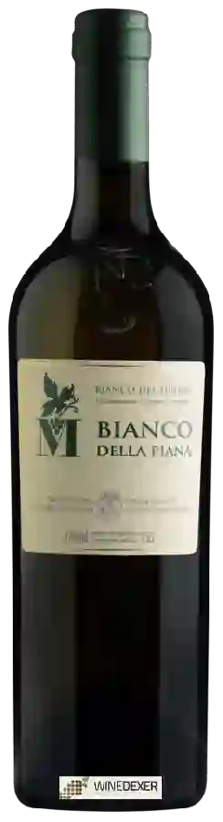 Winery Cantina Pelossi - Bianco della Piana Winery Cantina Pelossi - Bianco della Piana