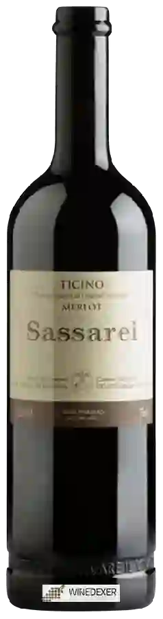 Winery Cantina Pelossi - Sassarei Merlot Winery Cantina Pelossi - Sassarei Merlot