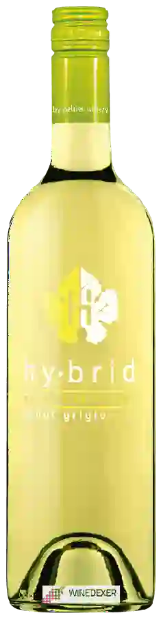 Winery Peltier - Hybrid by Peltier Station Pinot Grigio