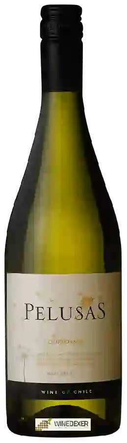 Winery Pelusas - Chardonnay