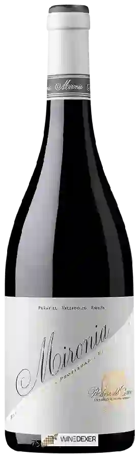 Winery Peñafiel - Mironia Reserva