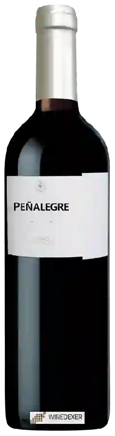 Winery Peñalegre - Toro Winery Peñalegre - Toro