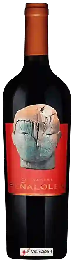 Winery Peñalolen - Carmenère Winery Peñalolen - Carmenère