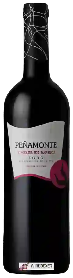 Winery Peñamonte - 5 Meses en Barrica
