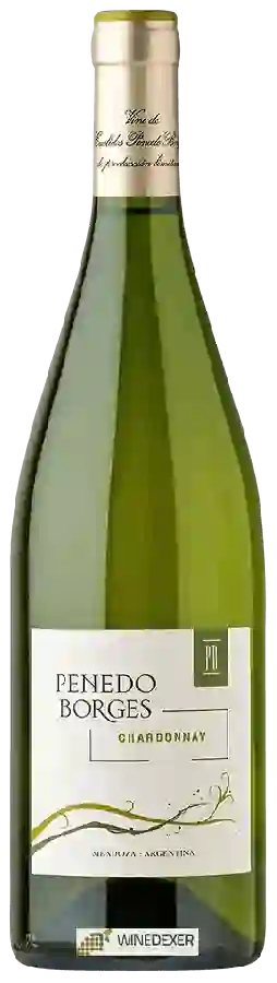 Winery Otaviano - Penedo Borges Chardonnay Winery Otaviano - Penedo Borges Chardonnay