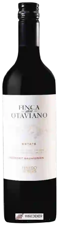 Winery Otaviano - Penedo Borges Estate Cabernet Sauvignon