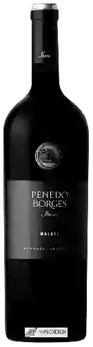 Winery Otaviano - Penedo Borges Icono Malbec