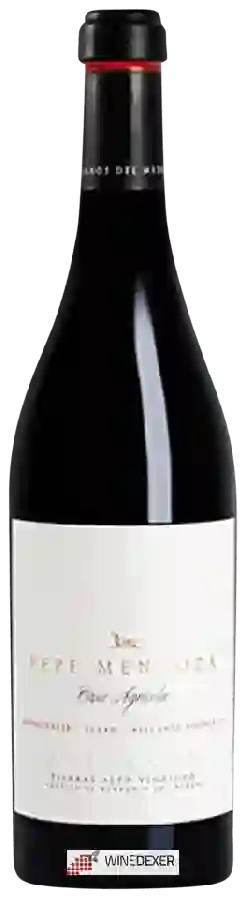 Winery Pepe Mendoza Casa Agrícola - Tinto Winery Pepe Mendoza Casa Agrícola - Tinto