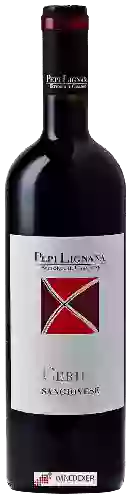 Winery Pepi Lignana - Cerida