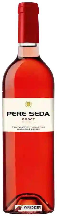 Winery Pere Seda - Novell Rosat