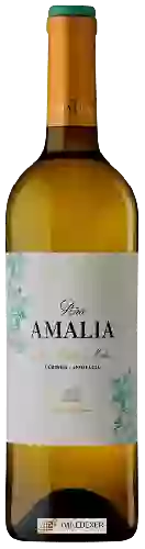Winery Perez Barquero - Viña Amalia