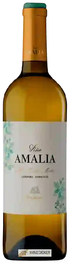 Winery Perez Barquero - Viña Amalia