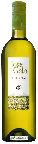Winery Rueda Perez - Jose Galo Verdejo