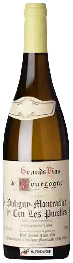 Winery Paul Pernot - Puligny-Montrachet 1er Cru Les Pucelles