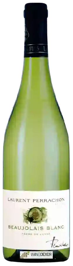 Winery Laurent Perrachon - Terre de Loyse Beaujolais Blanc