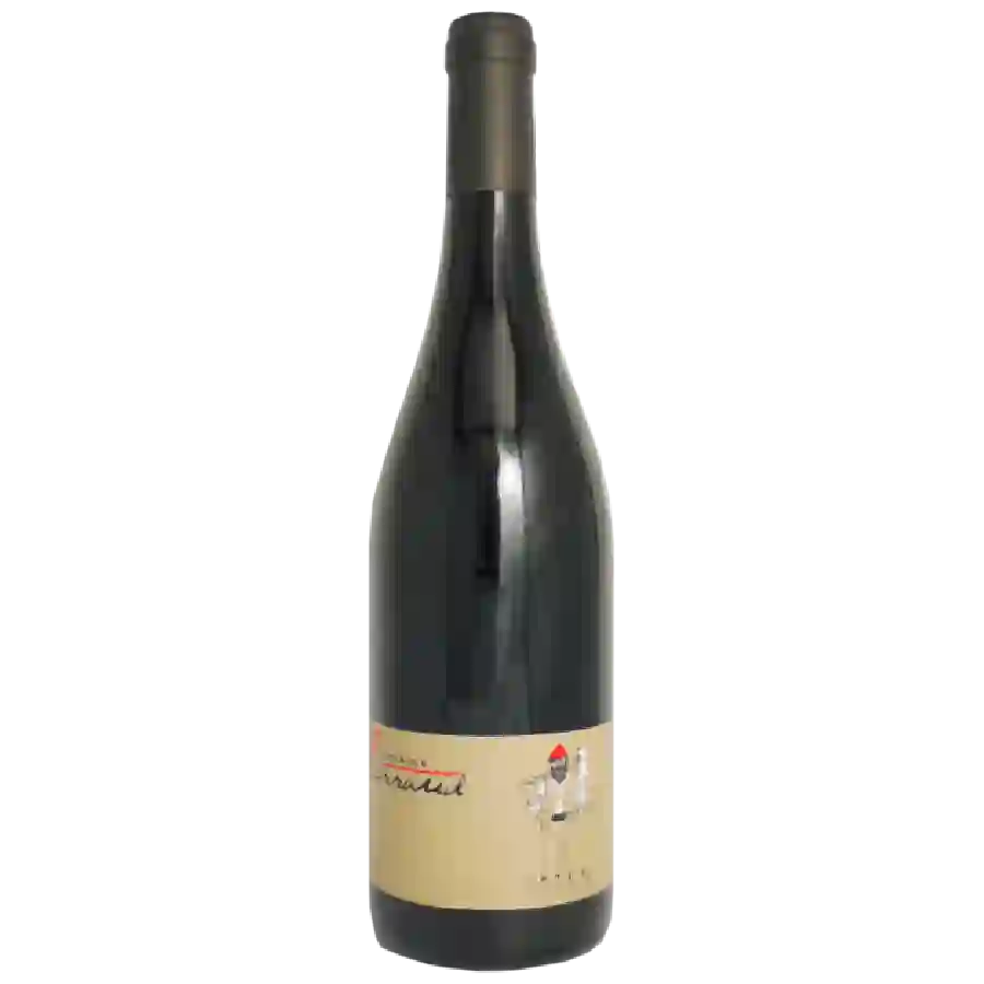 Domaine Perraud - Le Grand Sorbier Mâcon Rouge