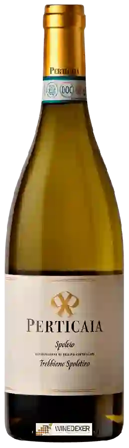 Winery Perticaia - Trebbiano Spoletino Winery Perticaia - Trebbiano Spoletino