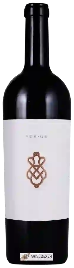 Winery PerUs - Kyla Winery PerUs - Kyla