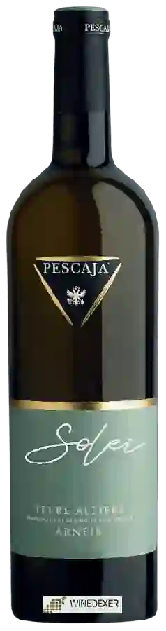 Winery Pescaja - Solei Terre Alfieri Arneis Winery Pescaja - Solei Terre Alfieri Arneis