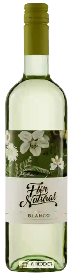 Winery Peter Riegel - Flor Natural Blanco Winery Peter Riegel - Flor Natural Blanco