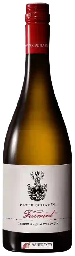 Winery Peter Schandl - Furmint Trocken Winery Peter Schandl - Furmint Trocken