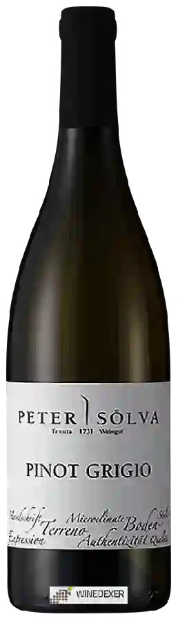 Winery Peter Sölva - I Vigneti Pinot Grigio