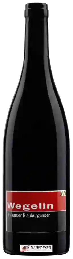 Winery Peter Wegelin Scadenagut - Malanser Blauburgunder