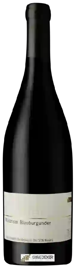 Winery Peter Wegelin Scadenagut - Scadena Malanser Blauburgunder Winery Peter Wegelin Scadenagut - Scadena Malanser Blauburgunder