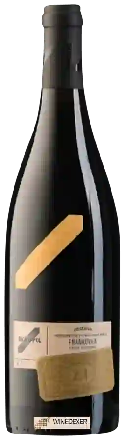 Winery Petr Skoupil - Grand Reserva Frankovka Pozdní Sběr