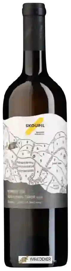 Winery Petr Skoupil - Terroir Rulandské Šedé Výběr z Bobulí Suché