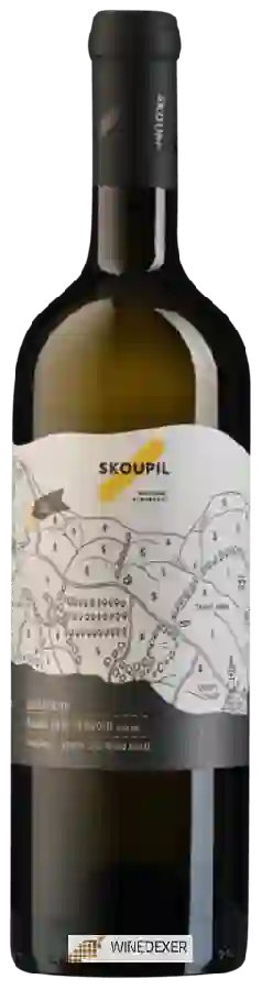 Winery Petr Skoupil - Terroir Sauvignon Pozdní Sběr Suché