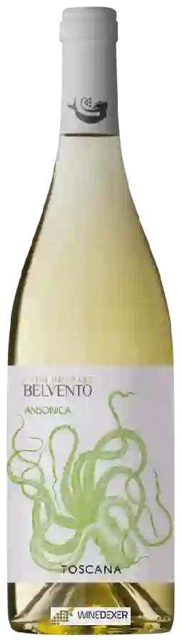 Winery Petra - Belvento Ansonica Winery Petra - Belvento Ansonica