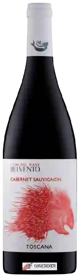 Winery Petra - Belvento Cabernet Sauvignon (I Vini Del Mare) Winery Petra - Belvento Cabernet Sauvignon (I Vini Del Mare)