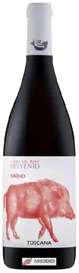 Winery Petra - Belvento Sireno Toscana (I Vini del Mare) Winery Petra - Belvento Sireno Toscana (I Vini del Mare)