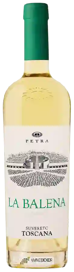 Winery Petra - La Balena Toscana