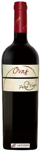 Winery Petro Vaselo - Ovas