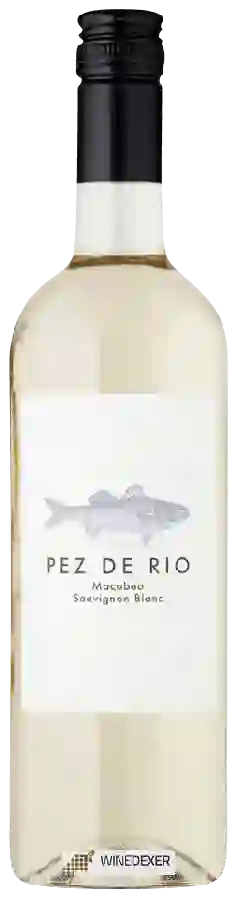 Winery Pez de Rio - Macabeo - Sauvignon Blanc